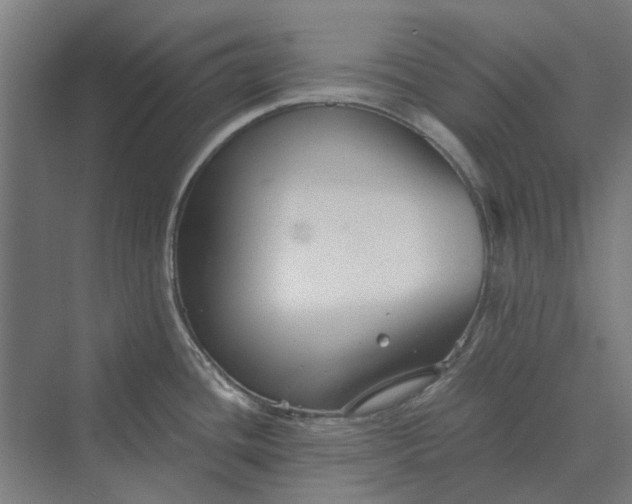 X0000069811436200606021454