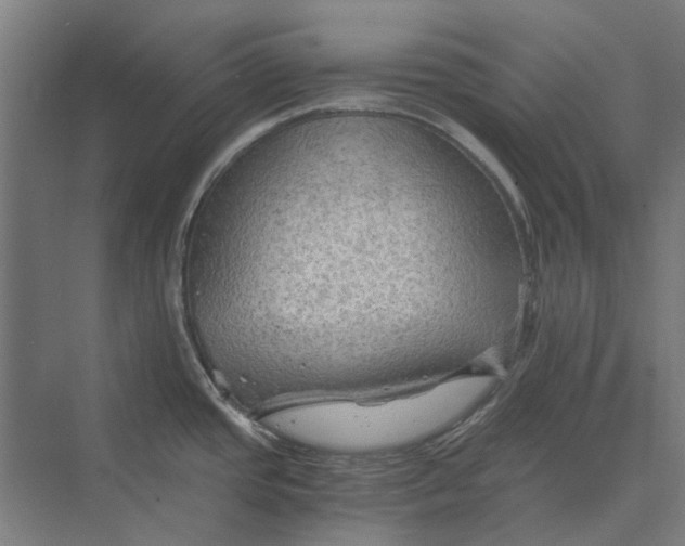 X0000069811437200606021454