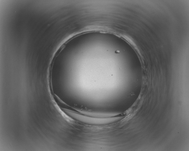 X0000069811438200606021454