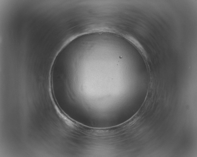 X0000069811439200606021454