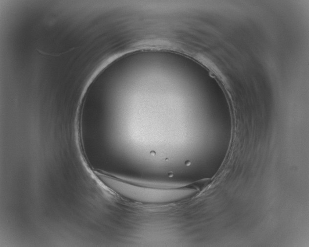 X0000069811440200606021454