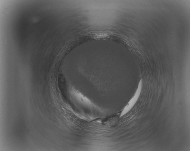 X0000069811441200606021453