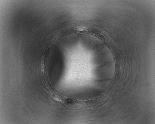 X0000069811442200606021453