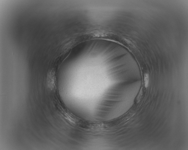 X0000069811444200606021453