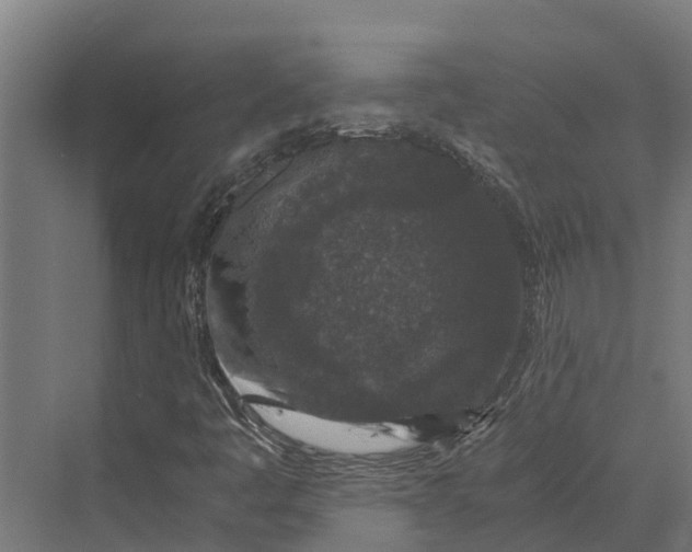 X0000069811445200606021453