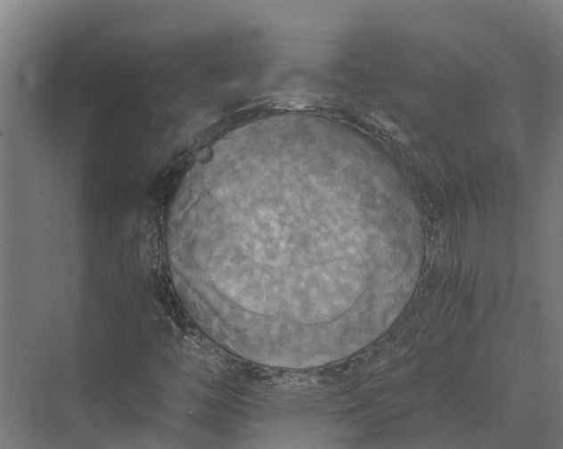 X0000069811446200606021453