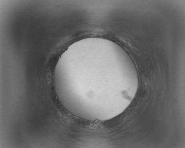 X0000069811447200606021453