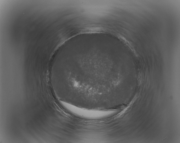 X0000069811449200606021453