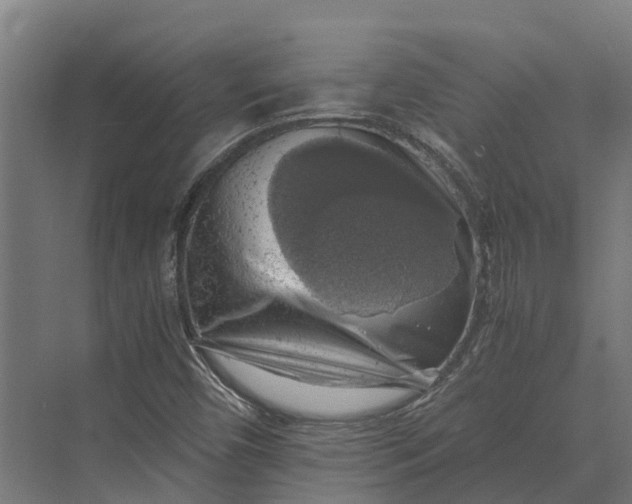 X0000069811450200606021453