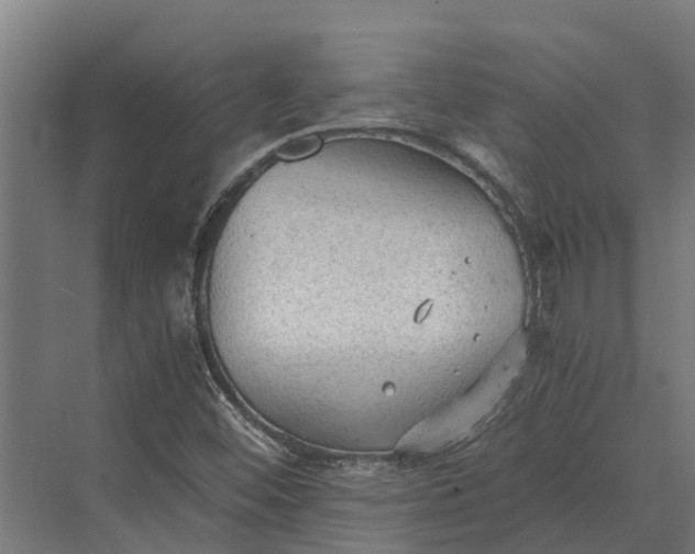 X0000069811452200606021453