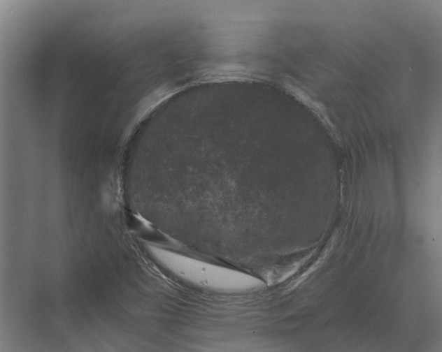 X0000069811453200606021453