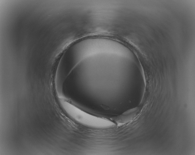 X0000069811455200606021453