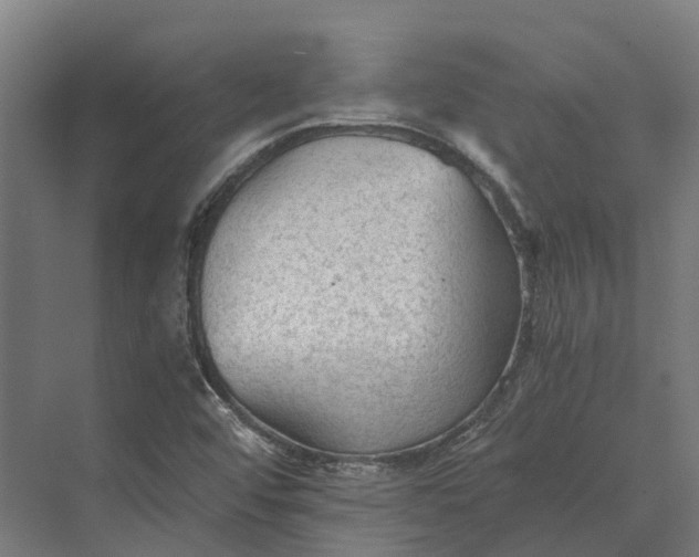 X0000069811456200606021453