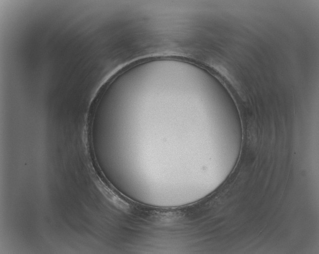 X0000069811460200606021452