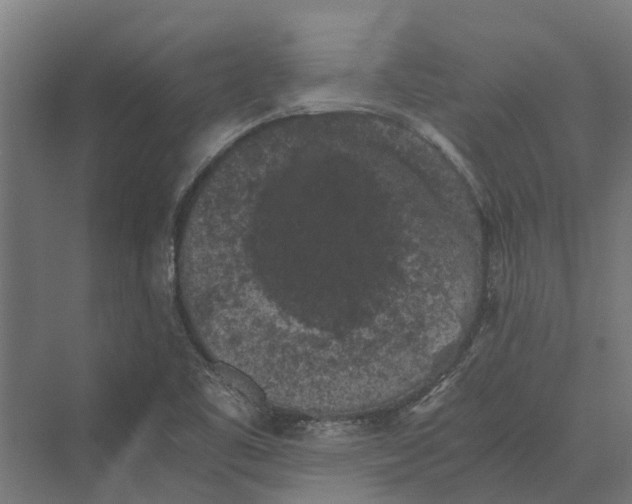 X0000069811461200606021452