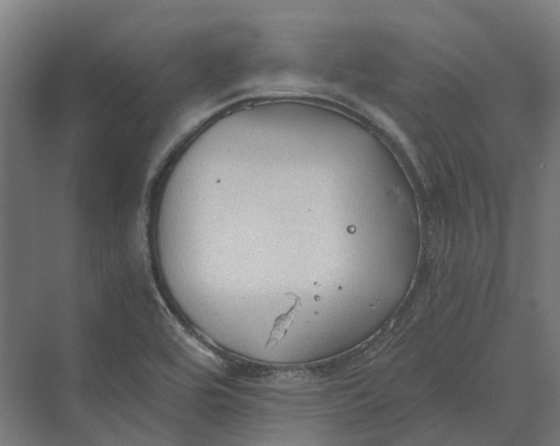 X0000069811464200606021452