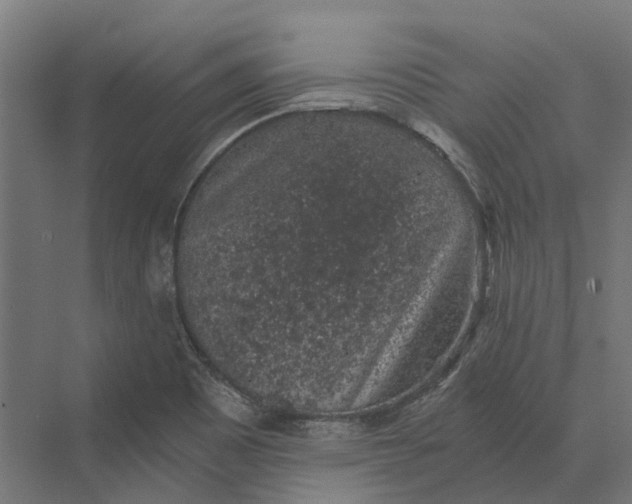 X0000069811465200606021452