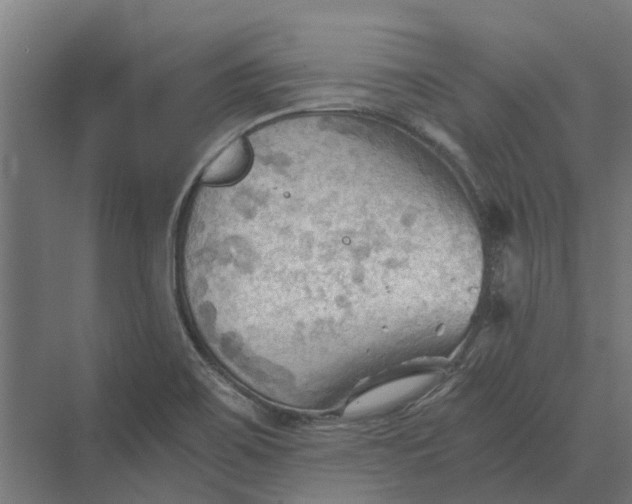 X0000069811467200606021452