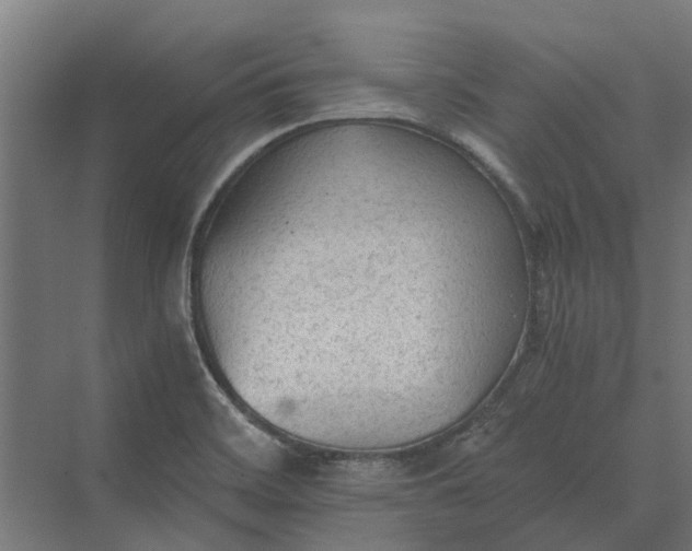 X0000069811468200606021452