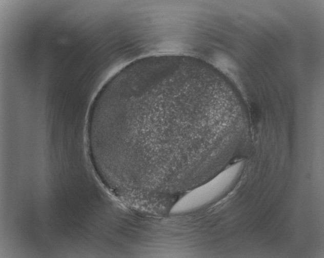 X0000069811469200606021452