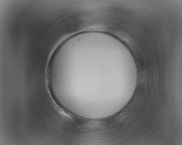 X0000069811470200606021452