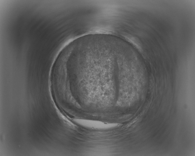 X0000069811471200606021452