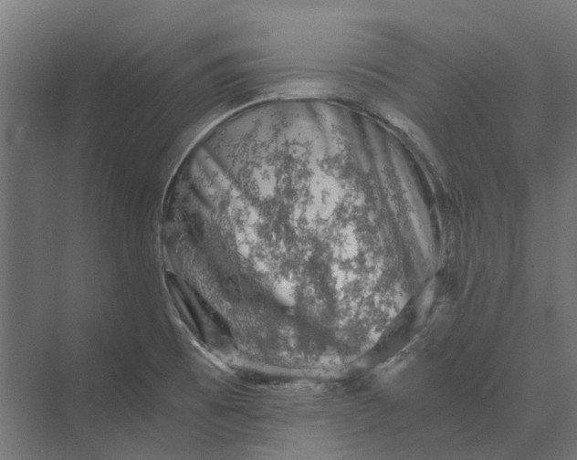 X0000069811473200606021452