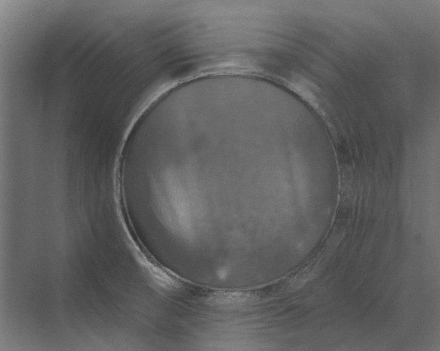 X0000069811474200606021452