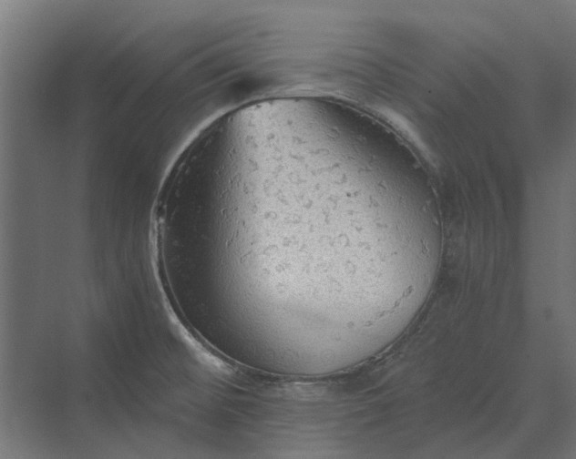 X0000069811476200606021452