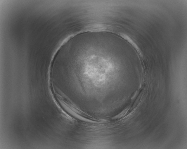 X0000069811477200606021452