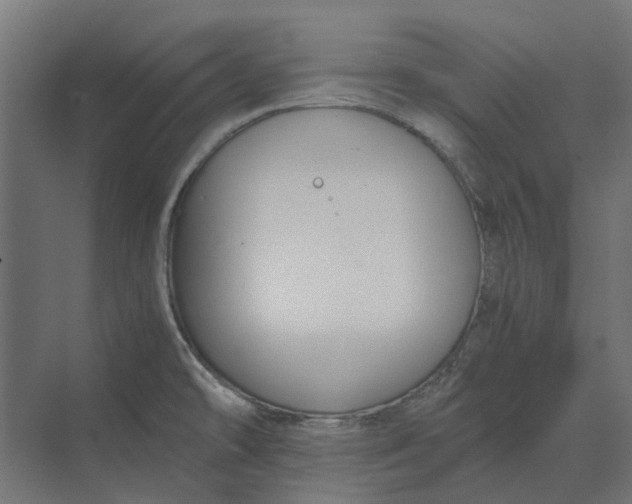 X0000069811478200606021452