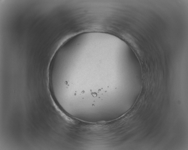 X0000069811479200606021452