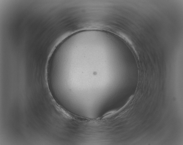 X0000069811480200606021452