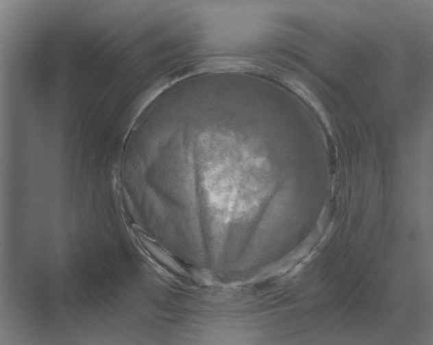 X0000069811481200606021452