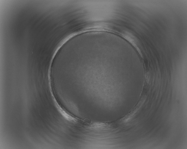 X0000069811482200606021452