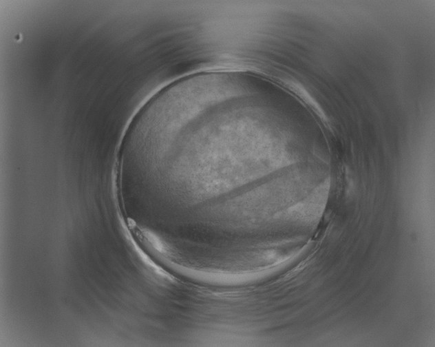 X0000069811484200606021452