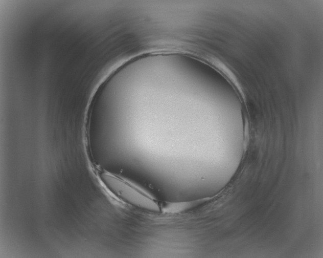 X0000069811485200606021452