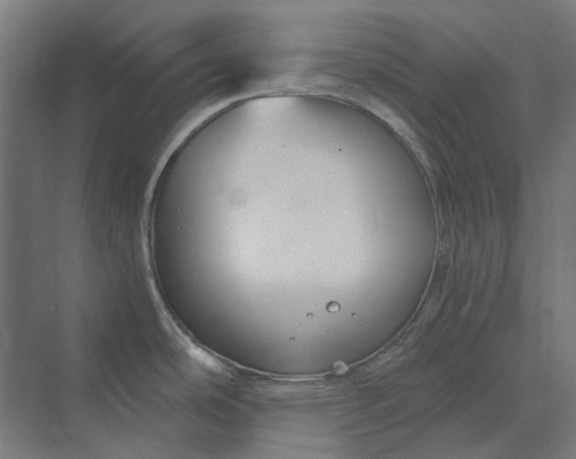 X0000069811486200606021452