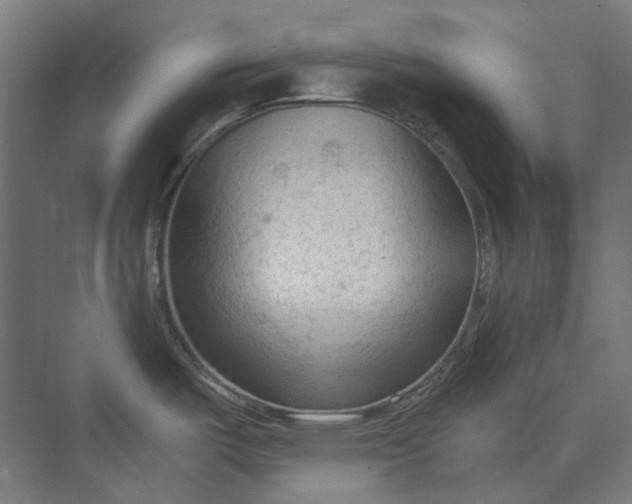 X0000069811487200606021452