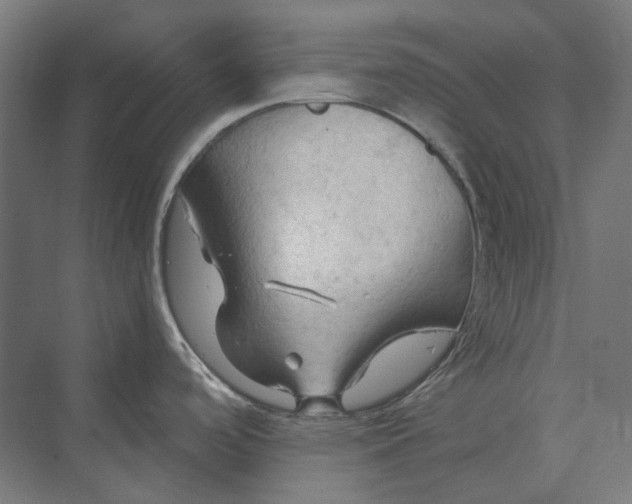 X0000069811488200606021452