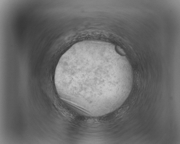 X0000069811489200606021451