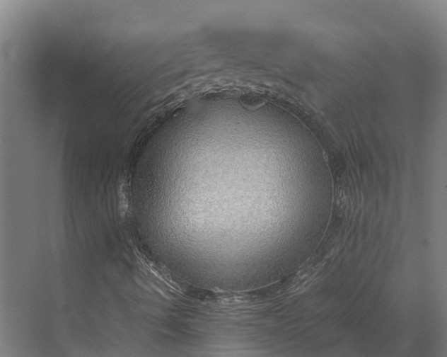 X0000069811490200606021451