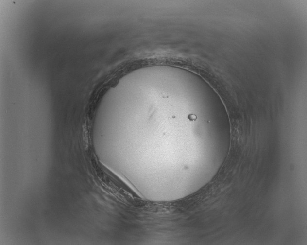 X0000069811493200606021451