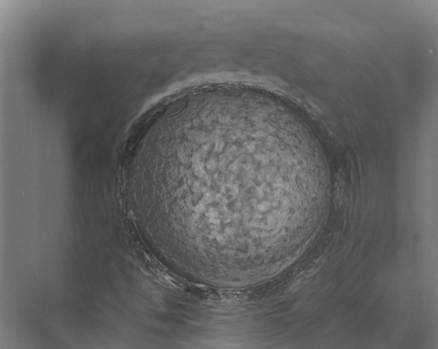 X0000069811494200606021451