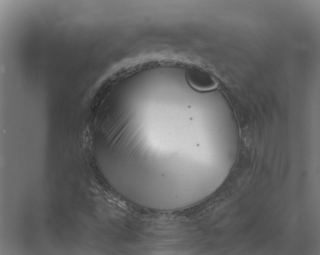 X0000069811495200606021451