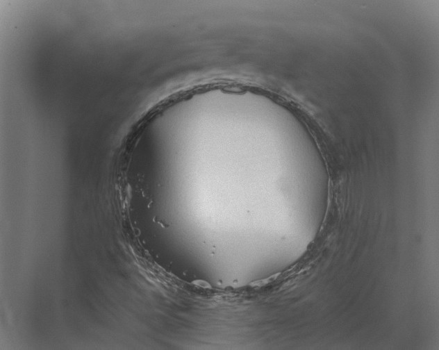 X0000069811496200606021451