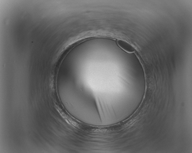 X0000069811499200606021451