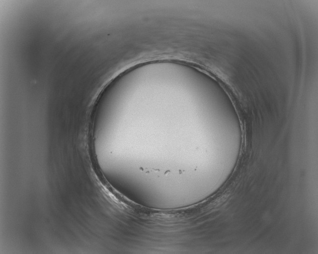 X0000069811500200606021451