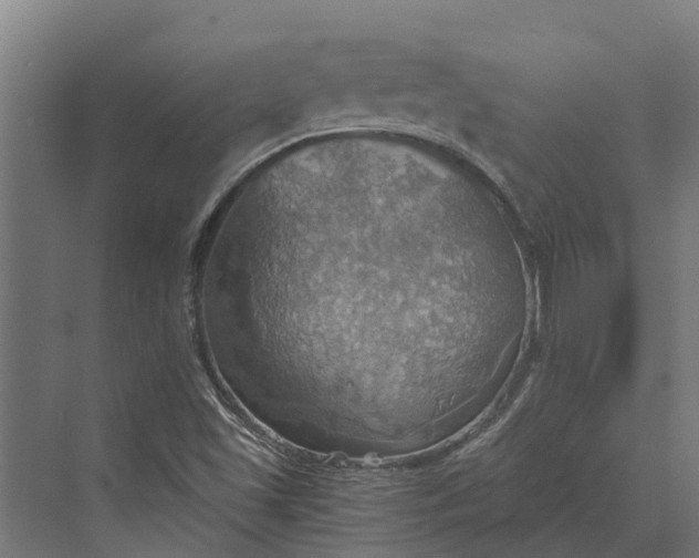 X0000069811501200606021451