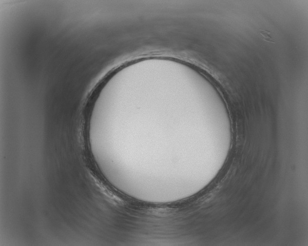 X0000069811502200606021451